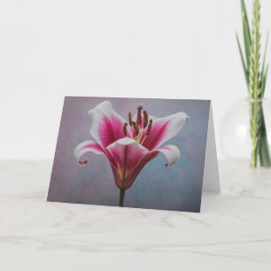 Single flower greeting card