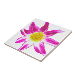 SINGLE FLOWER IN MAGENTA, WHITE AND GOLD (PHOTOG) TILE