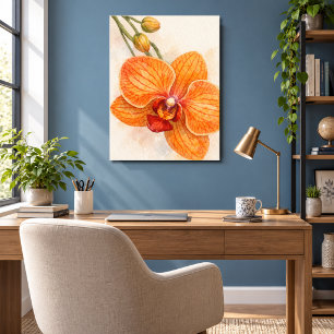 Single Flower Moth Orchid Botanical Poster