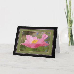 Single Framed Pink Poppy Photo Template