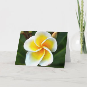 Single Frangipani Blossom Realism Art Card