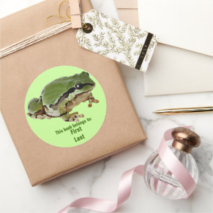 Single Green Frog At Rest Photograph Custom Classic Round Sticker