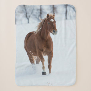Single Horse Running in Snow Sherpa Blanket