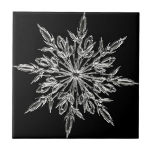 Single Ice Crystal on Black Tile