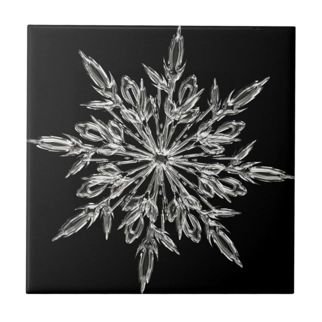 Single Ice Crystal on Black Tile (Front)