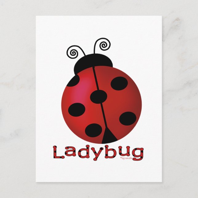 Single Ladybug Postcard (Front)