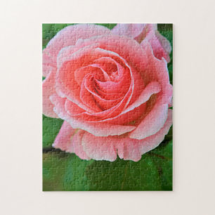 Single Large Pink Rose Up Close Jigsaw Puzzle