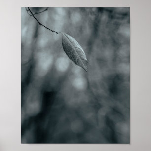 Single Leaf on a Thin Branch in Cool Monochrome Poster