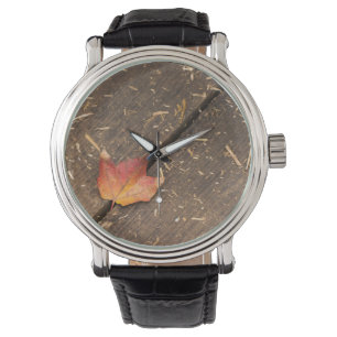Single Maple Leaf in Fall Watch