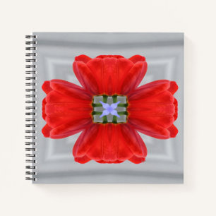 Single moments... notebook