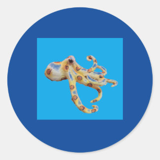 Single Octopus on Blue Background Classic Round Sticker
