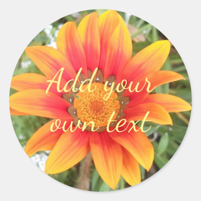 Single Orange Flower Custom Text Classic Round Sticker (Front)
