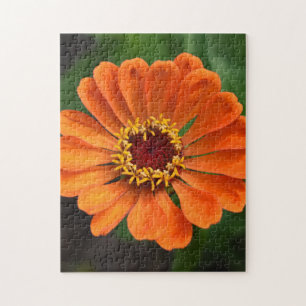 Single Orange Flower Jigsaw Puzzle