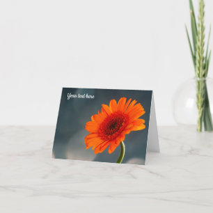 Single Orange Gerbera Greeting Card