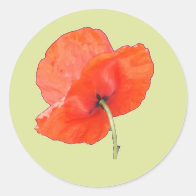 Single Orange Red Poppy with Green Steam Classic Round Sticker (Front)