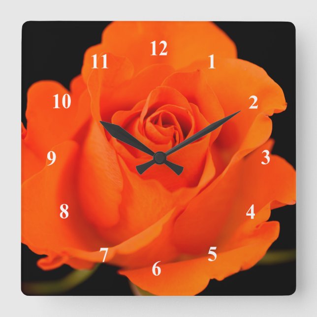 Single Orange Rose flower Acrylic wall clock (Front)
