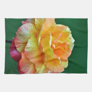 Single orange tea rose kitchen towel