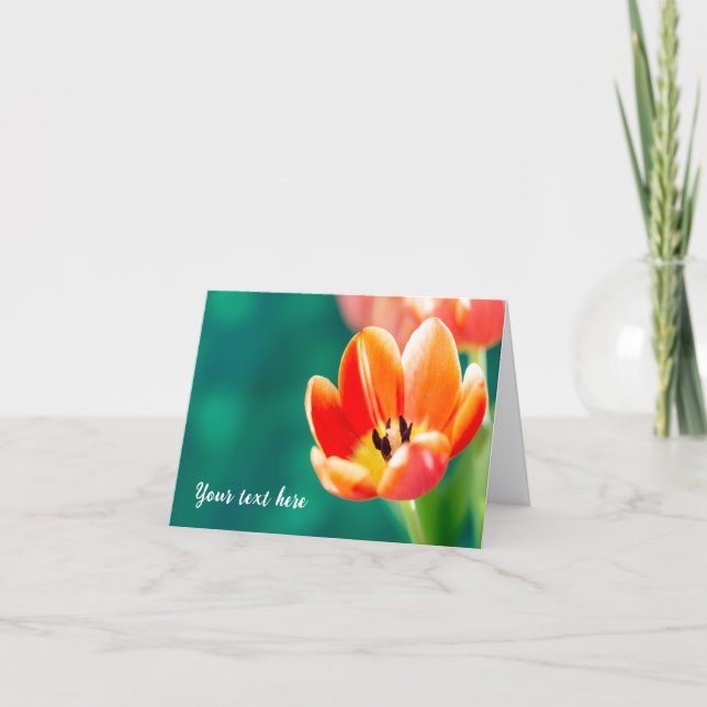 Single Orange Tulip Greeting Card (Front)