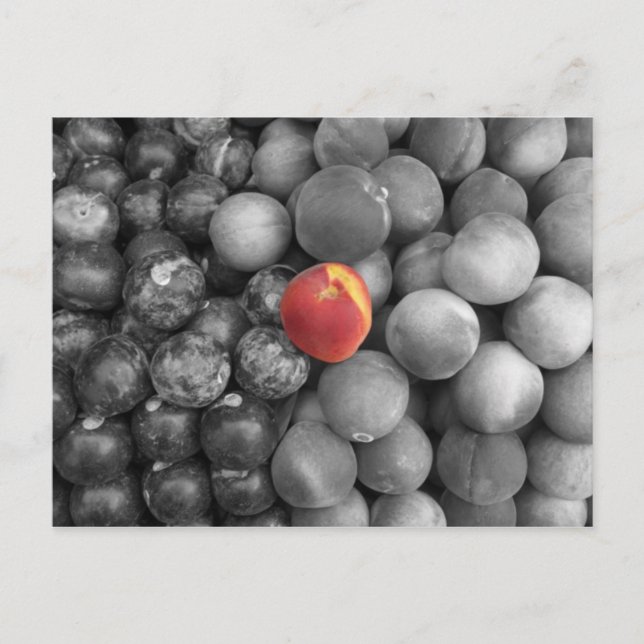 Single Out Postcard (Front)