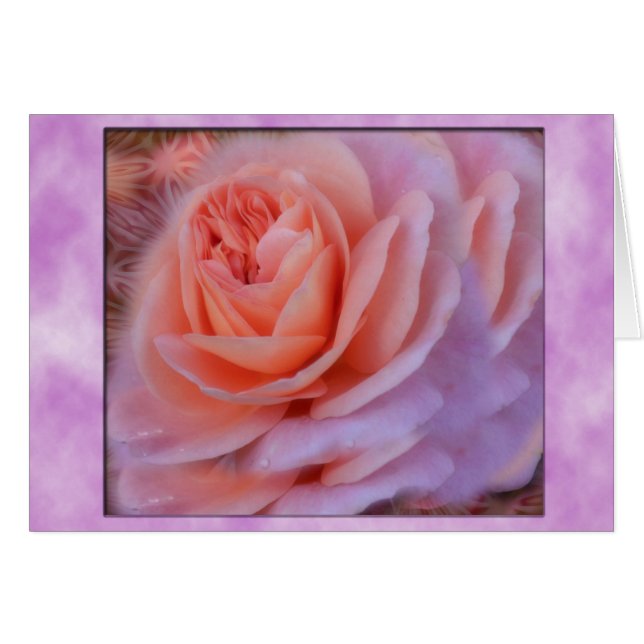 Single Peach Rose (Front Horizontal)