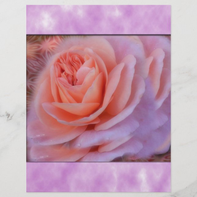 Single Peach Rose (Front)