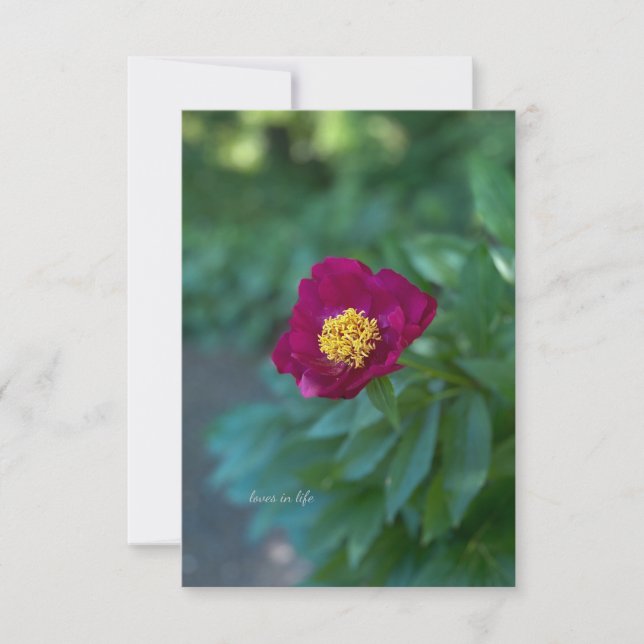 Single Peony Card (Front)