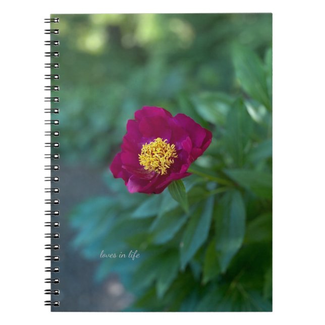 Single Peony Notebook (Front)