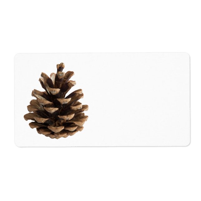 Single pinecone (Front)