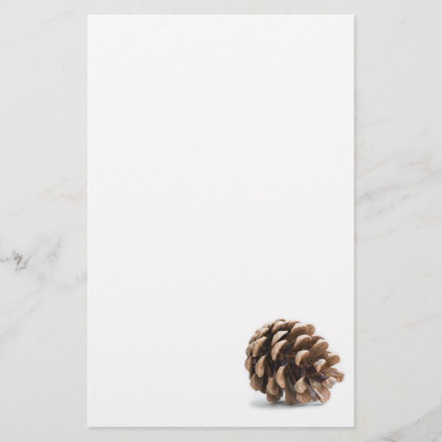 Single pinecone stationery (Front)