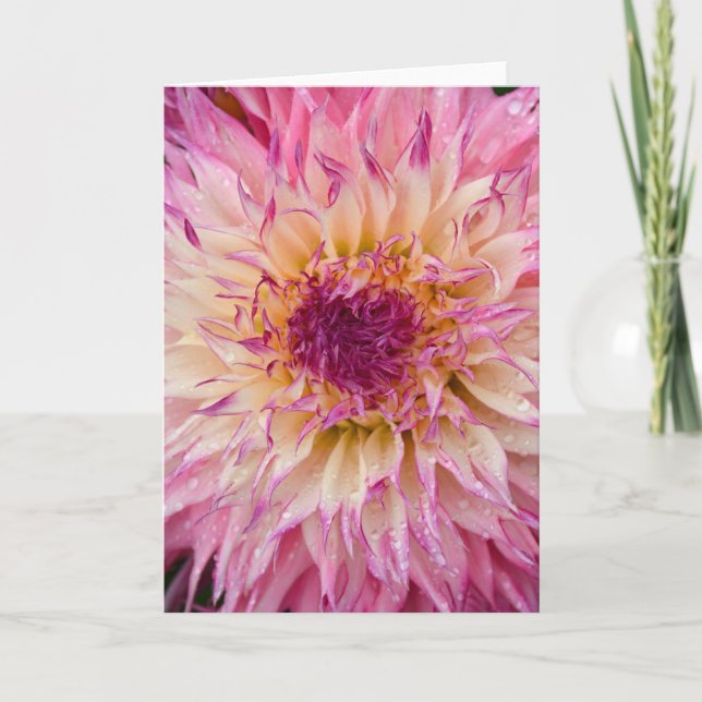 Single pink dahlia floral print greeting card (Front)