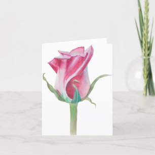 Single Pink Rose Blank Card