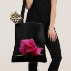 Single Pink Rose Bloom on Black