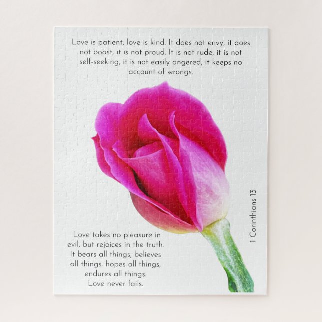 Single pink rose bloom on white, Corinthians Verse Jigsaw Puzzle (Vertical)