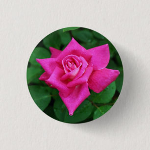 Single Pink Rose Round Button