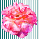 Single Pink Rose Sculpture  Standing Photo Sculpture<br><div class="desc">This Single Pink Rose design from Zazzle and Elizabeth's Creative Pursuits features a single pink rose. It is also available with a single yellow rose, a single red rose, or a single white rose. Red roses symbolize love and passion, yellow roses symbolize friendship, pink roses symbolize admiration or affection, and...</div>