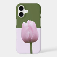 Single Pink Tulip Complementary Colours