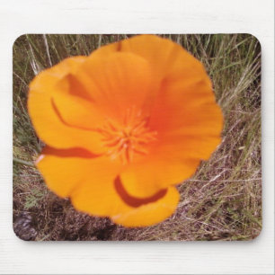 Single Poppy Mouse Pad