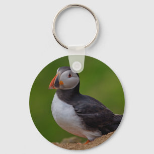 Single Puffin Keychain