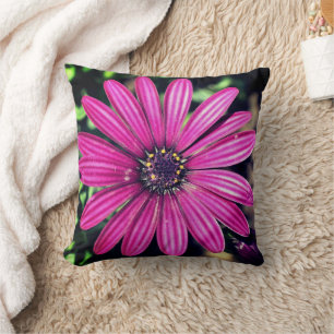 Single Purple African Daisy Flower Throw Pillow