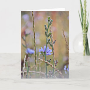 Single Purple Flower ~ Greeting Card