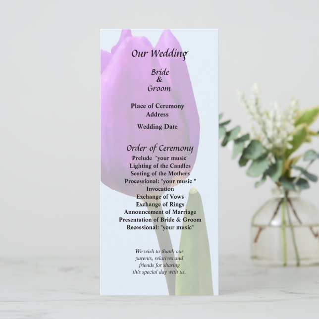 Single Purple Tulip Program (Standing Front)