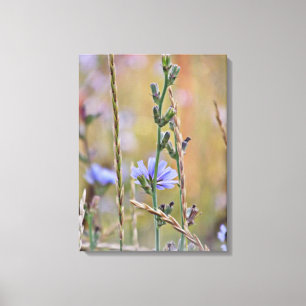 Single Purple Wildflower - Wrapped Canvas