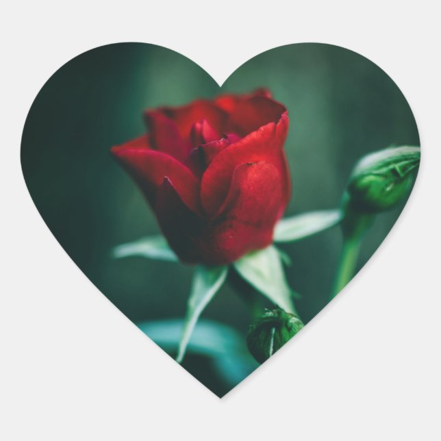 single red heart sticker (Front)