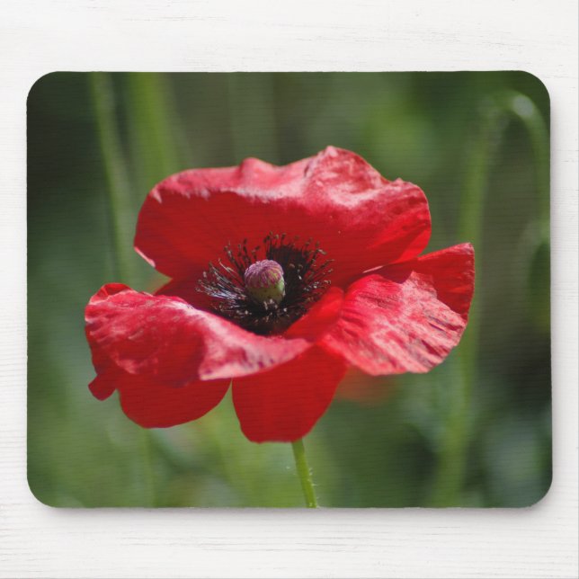 Single red poppy mouse pad (Front)