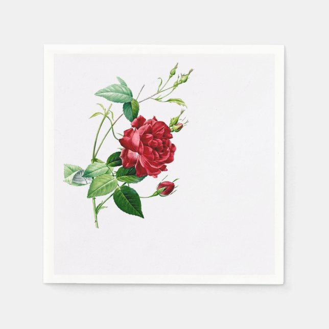 Single Red Redoute Rose on Eggshell Napkins (Front)