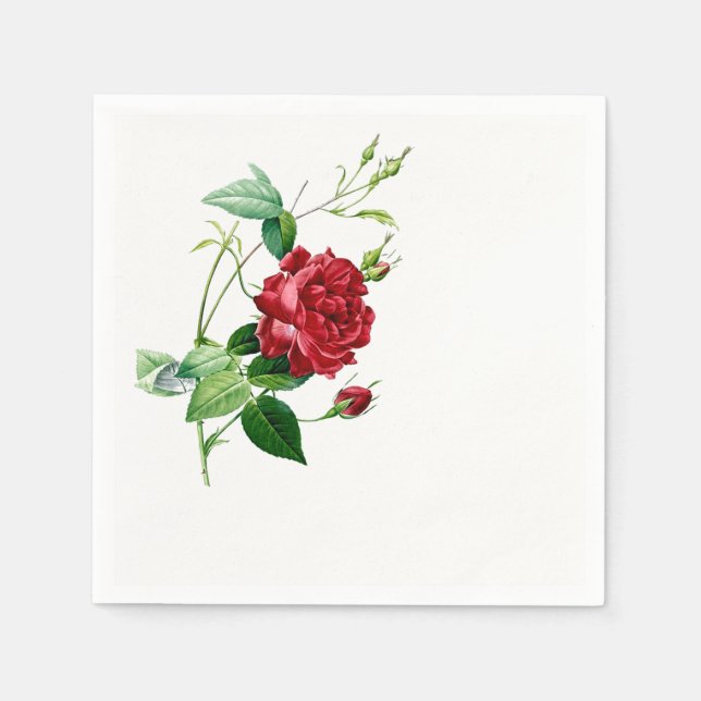 Single Red Redoute Rose Paper Napkins (Front)