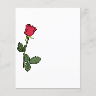 Single Red Rose