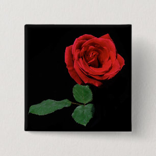 Single Red Rose 2 Inch Square Button