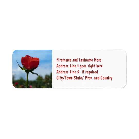 Single Red Rose and Blue Sky Return Address Label
