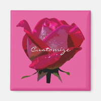 single red rose any colour